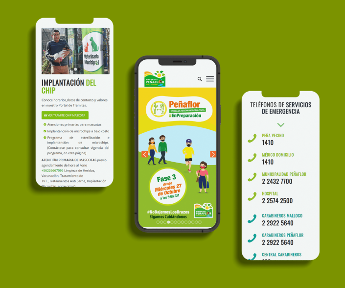 pabloarenas.cl-penaflor-móvil